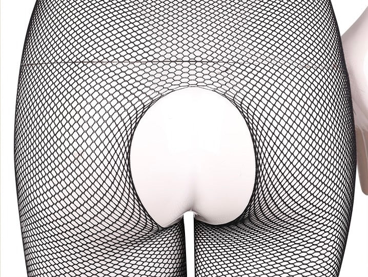 Elegant Lace Mesh Bodysuit